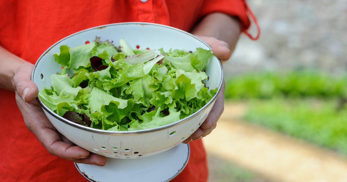 Como cultivar folhas de salada (em fotos)